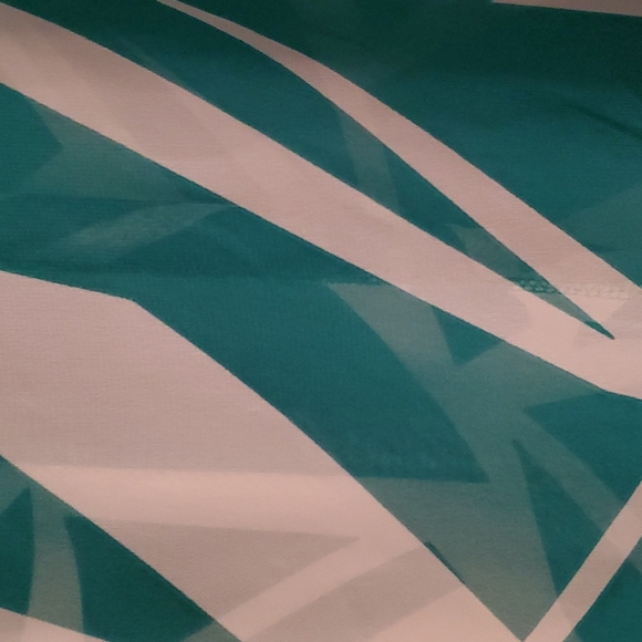 Blouse.  See through.  Green and cream colored - Picture 2 of 4